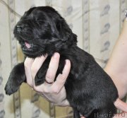 Превью фото № 174318