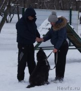 Превью фото № 174358