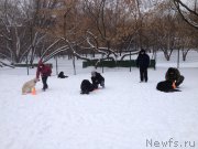 Превью фото № 174368