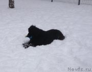 Превью фото № 174372