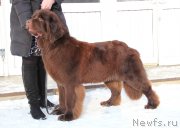 Превью фото № 174444