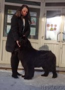 Превью фото № 174487