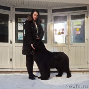 Превью фото № 174488