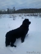 Превью фото № 174514