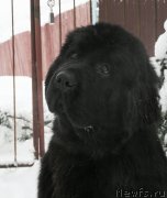 Превью фото № 174515