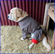 Превью фото № 174563