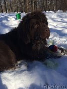 Превью фото № 174571