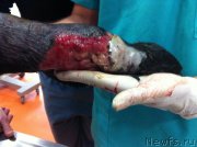 Превью фото № 174607