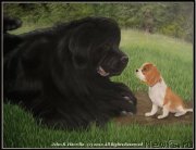 Превью фото № 174709