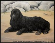 Превью фото № 174711