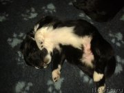 Превью фото № 174803