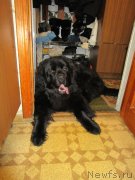 Превью фото № 174844