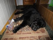 Превью фото № 174851