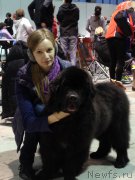 Превью фото № 174856