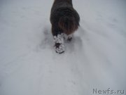 Превью фото № 174894