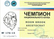 Превью фото № 174932