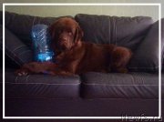 Превью фото № 174980