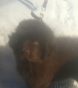 Превью фото № 175007