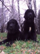 Превью фото № 175192