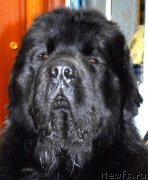 Превью фото № 175212