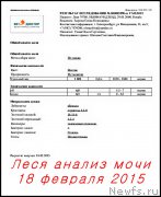 Превью фото № 175216