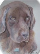 Превью фото № 175272