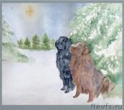 Превью фото № 175273