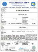 Превью фото № 175305