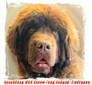 Превью фото № 175307