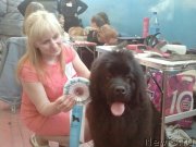 Превью фото № 175388