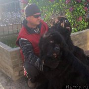 Превью фото № 175391