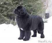 Превью фото № 175395