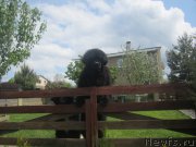 Превью фото № 175473