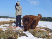 Превью фото № 175507