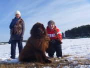 Превью фото № 175509