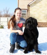 Превью фото № 175564