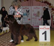 Превью фото № 175566