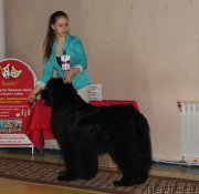 Превью фото № 175577