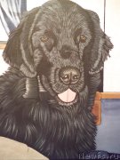 Превью фото № 175594