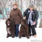 Превью фото № 175595