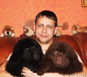 Превью фото № 175647