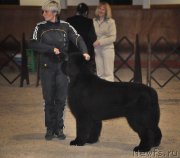 Превью фото № 175661