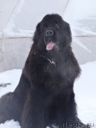 Превью фото № 175686