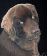 Превью фото № 175699