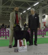 Превью фото № 175700