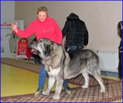 Превью фото № 175704