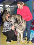 Превью фото № 175706