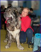 Превью фото № 175710