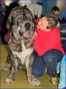 Превью фото № 175713