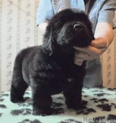 Превью фото № 175745